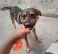 Jack