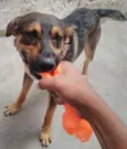 Jack