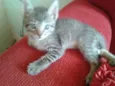 nick