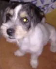 Não tem