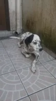 Floca