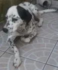Floca