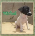 Michel