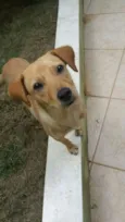Paçoca