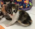 Julie