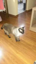 Diego