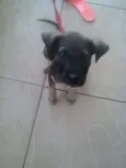 Belinha
