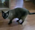 Diego