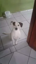 Snoopy