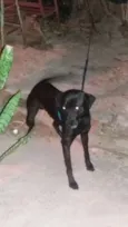 Pretinho 