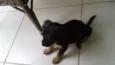 Nao possui nome