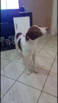Frank