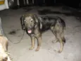 BINGO E SORRISO
