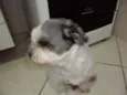 lillo