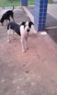 Não sei