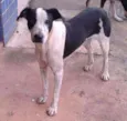 Não sei