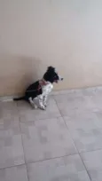 Molly