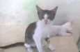 Fisto e Dorinha