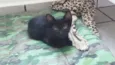 salem