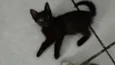 salem