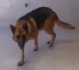 Billy