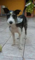 JUJU
