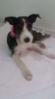JUJU