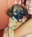 Francisco
