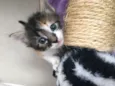Julie