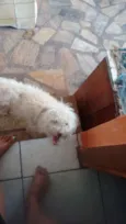 Marley