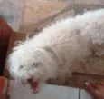 Marley