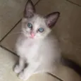 Gabriel