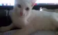 Mizu