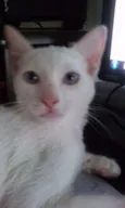 Mizu