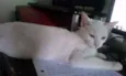 Mizu