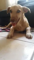 Não sei... resgatei