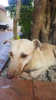 Não sei... resgatei 