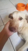 Não sei... resgatei 