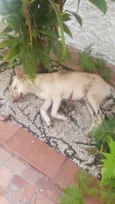 Não sei... resgatei 