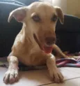 Não sei... resgatei 