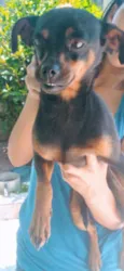 Bebê 