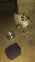 Não identificado