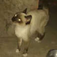 Não identificado