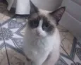 Lilly