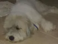 ?