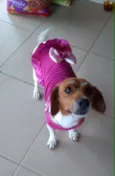 Mel