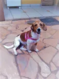 Mel