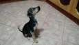 Dinho