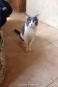 Thomas