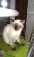 Pretinha e Maria 